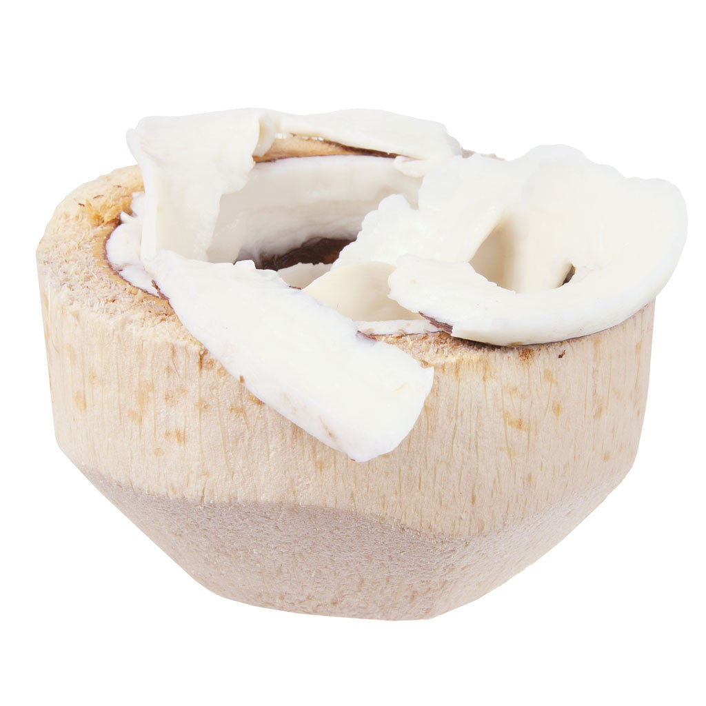 Coconut Meat (Young Coconut)