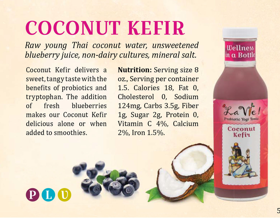 What's the Difference Between Probiotic Kombucha and Coconut Kefir?