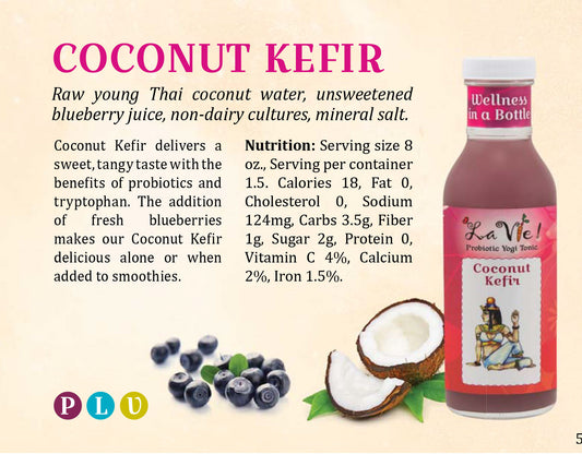 What's the Difference Between Probiotic Kombucha and Coconut Kefir?